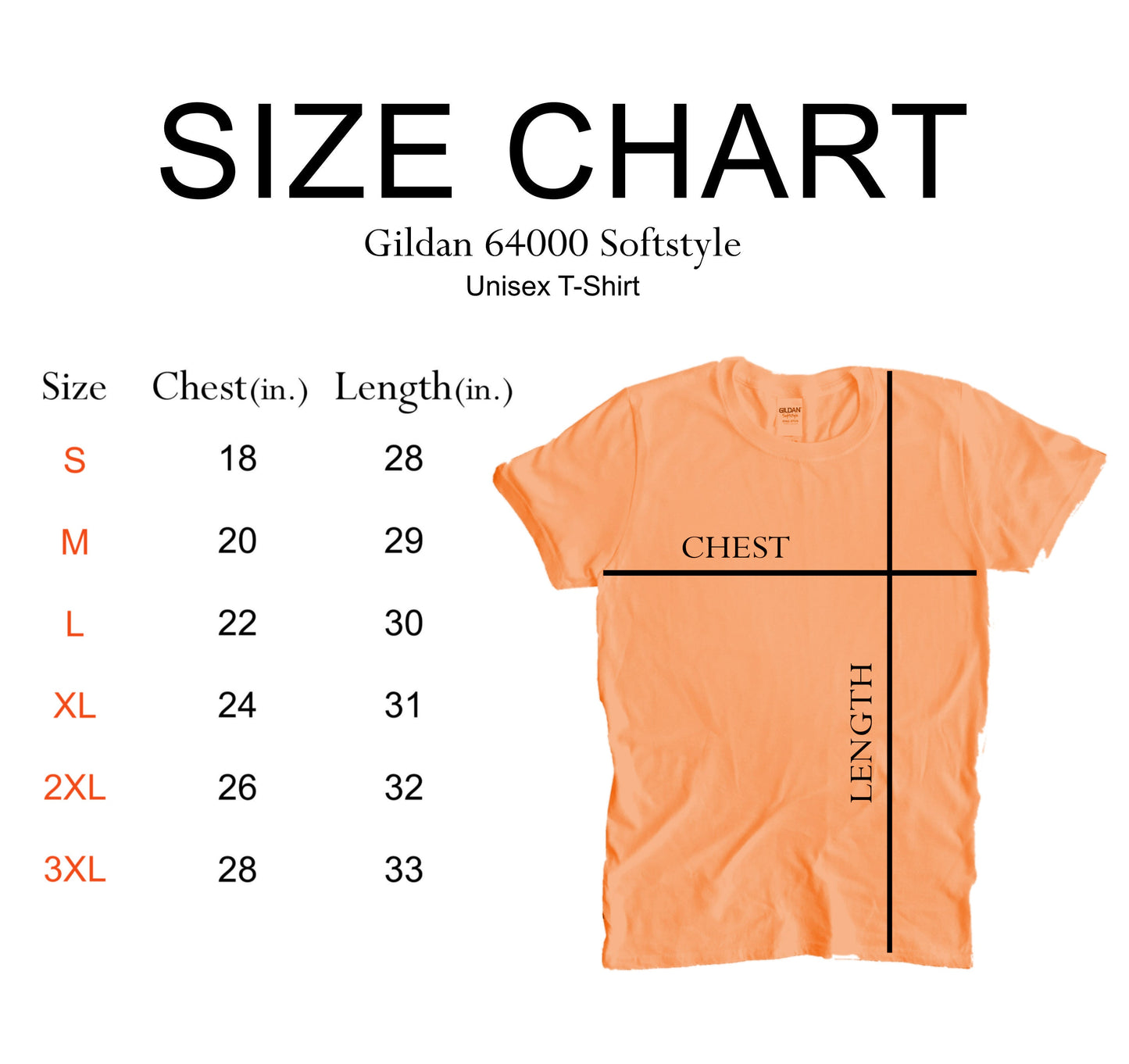 Professional Tambourine Player T-Shirt mock up size chart
